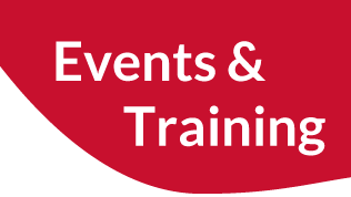 IRB 101 and IRB Topics Webinar Series for Spring 2025